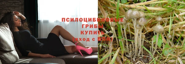 твердый Дубна