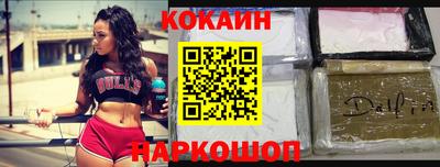 гашик Гатчина