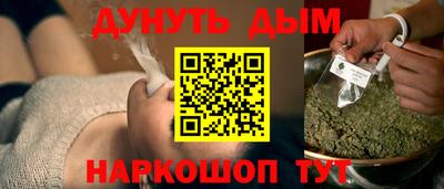 гашик Гатчина