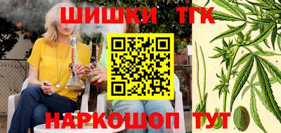 гашик Гатчина