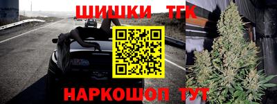 гашик Гатчина