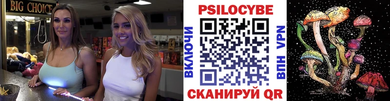 OMG маркетплейс  Изобильный  Псилоцибиновые грибы мицелий  наркотики 