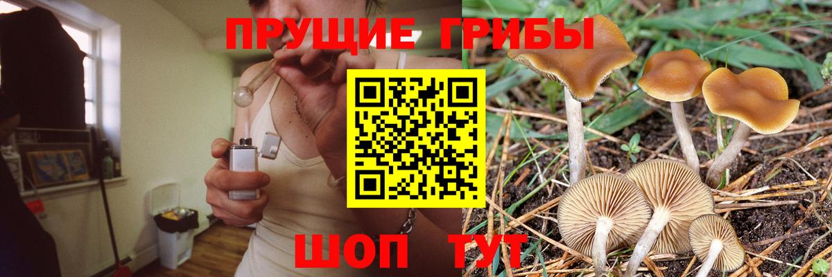 Галлюциногенные грибы ЛСД  Вход с VPN  Изобильный 